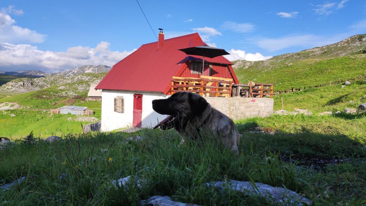 Katun Kuline Leilighet Kolašin Eksteriør bilde